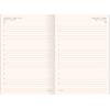Ημερολόγιο ημερήσιο The Writing Fields Precious 4900 2024 17x24εκ ασημί